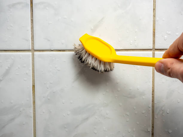 Office Mold Removal Services in Oakbrook Terrace, IL