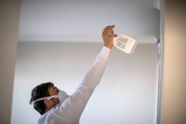 Best Attic Mold Removal  in Oakbrook Terrace, IL