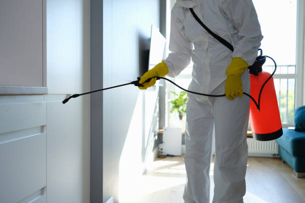 Best Professional Mold Removal  in Oakbrook Terrace, IL