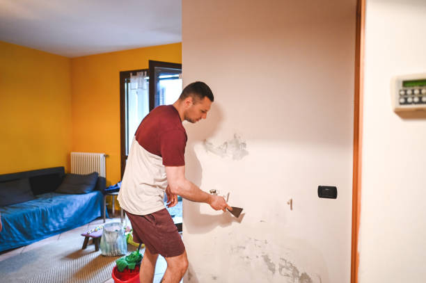 Best Water Damage Restoration  in Oakbrook Terrace, IL